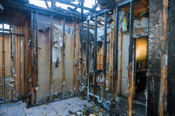 Professional Smoke Damage Removal technician working in Halstead, KS